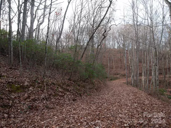 000 Beacon Rock LN #Lot 211, Waynesville, NC 28786