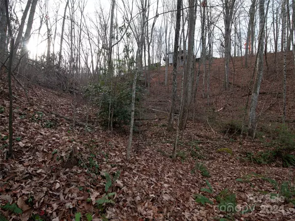 Waynesville, NC 28786,000 Beacon Rock LN #Lot 211