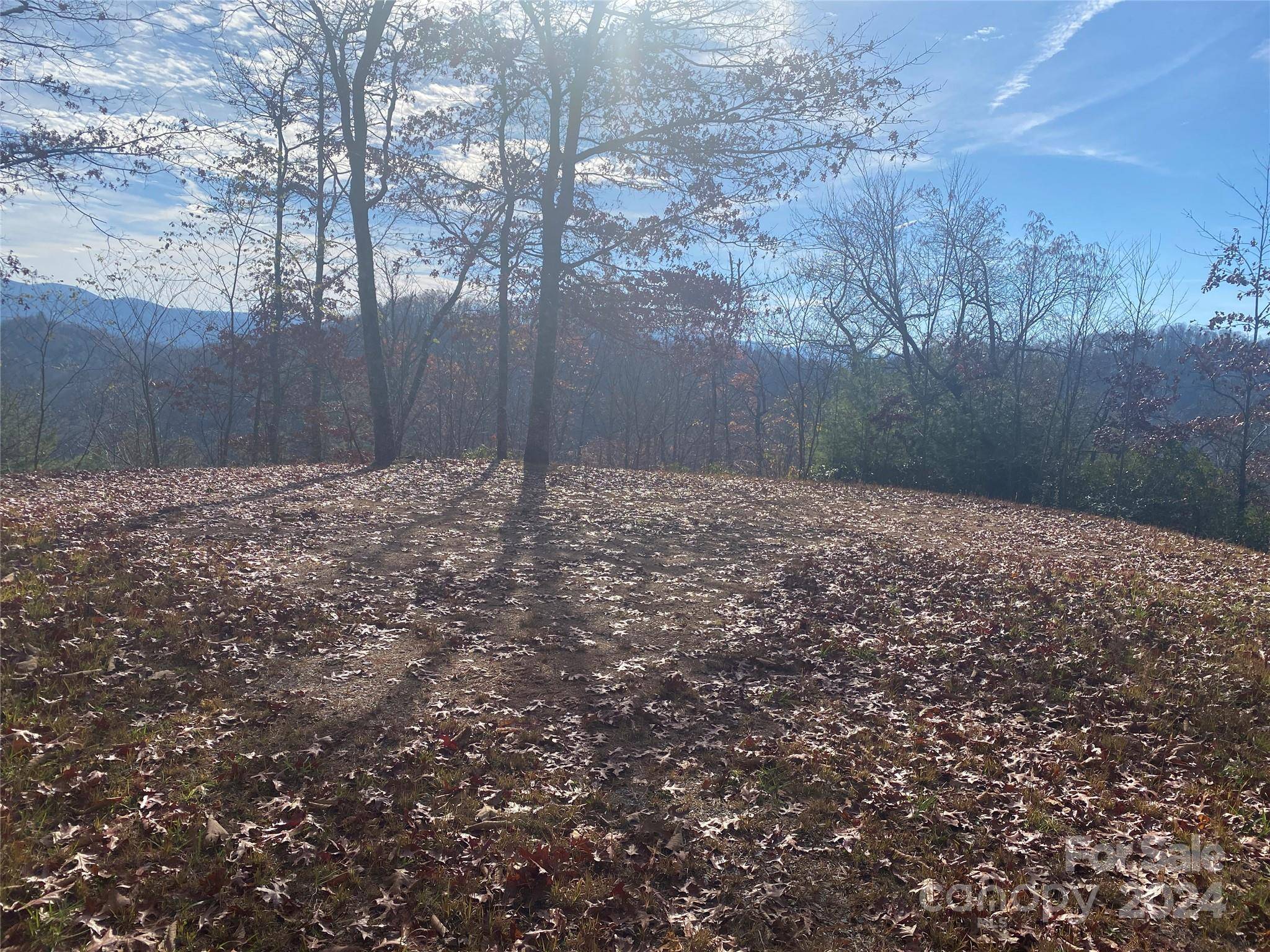 Topton, NC 28781,Lot 4 Mystic WAY W