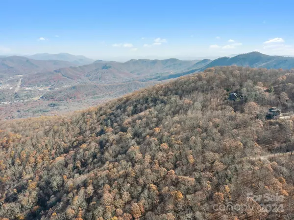 Swannanoa, NC 28778,99999 Mountain Lily Ridge DR