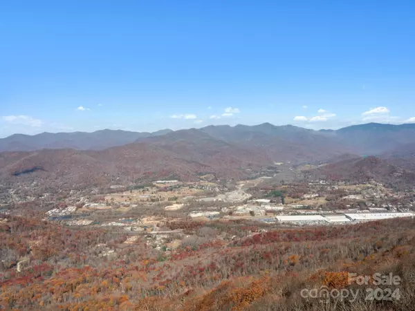 Swannanoa, NC 28778,99999 Mountain Lily Ridge DR