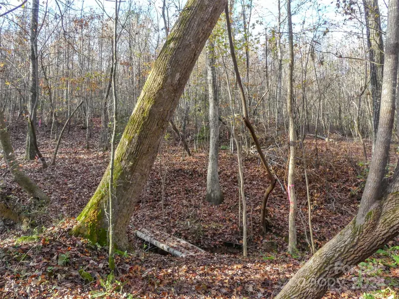 0 Stateline RD, Mooresboro, NC 28114