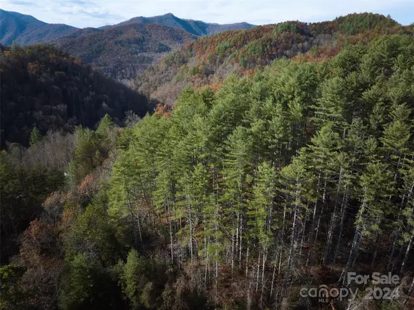 Bryson City, NC 28713,0 Sky Ridge DR