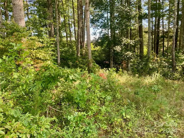 Lenoir, NC 28645,2.81 acres, 4098 Derbyshire LN #Lot G32