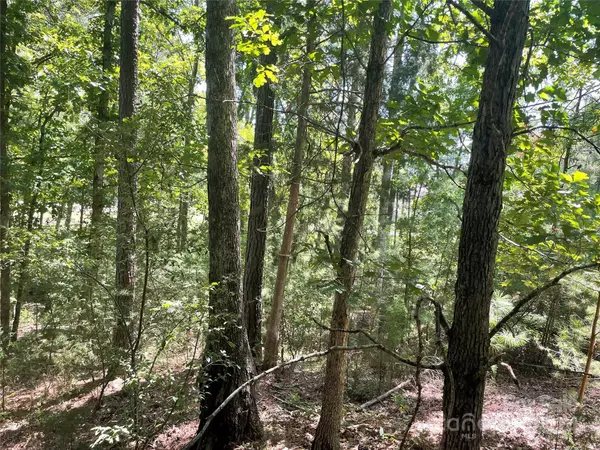 Clover, SC 29710,00 Pine Moss LN