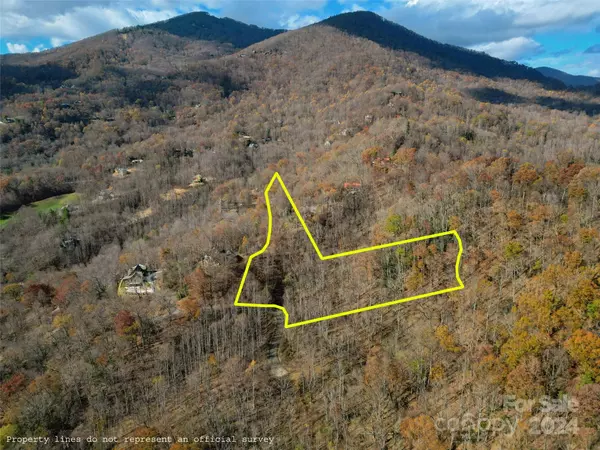 Maggie Valley, NC 28751,00 Scarlet Maple LN #23