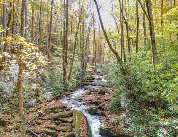 Bryson City, NC 28713,0000 Unahala Creek RD