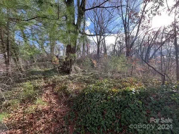 Asheville, NC 28803,99999 Stoner View RD #16/17