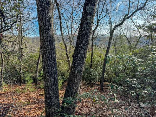 Tract 1 Dave Whitaker RD, Horse Shoe, NC 28742