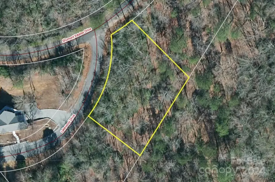 Lot 48 Shumont Estates DR #48, Lake Lure, NC 28746