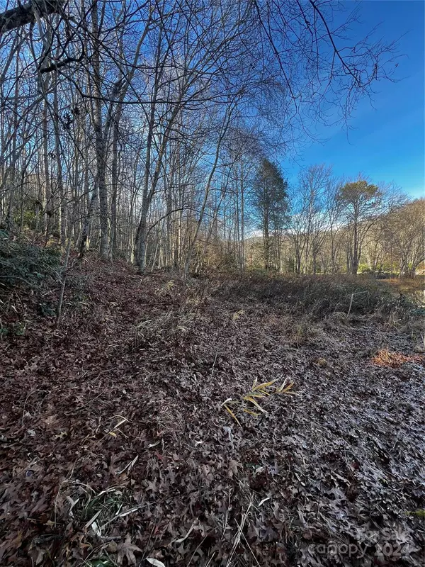 Balsam Grove, NC 28768,Lot 2 Sweetwater Ridge RD