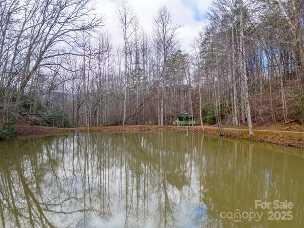 Bryson City, NC 28713,180 Valley LN