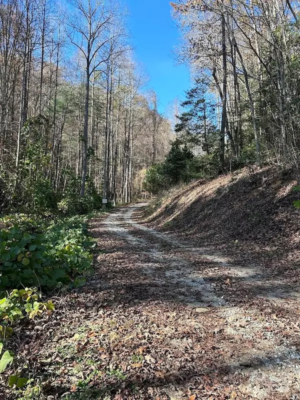 Robbinsville, NC 28771,Lot 15 Sawyer Cove Hideaway None