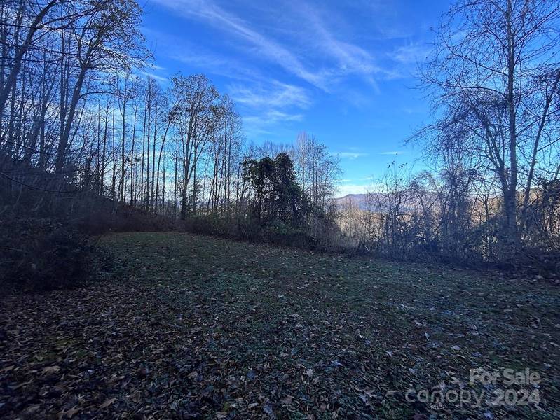 Lot 10 Sawyer Cove Hideaway None, Robbinsville, NC 28771