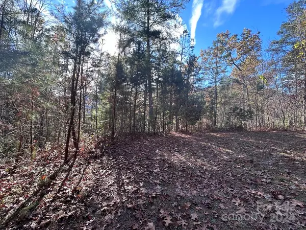 Robbinsville, NC 28771,Lot 1 Sawyer Cove Hideaway None