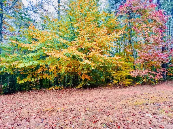 Lenoir, NC 28645,1.4 acres, 1184 Waterfall LN #Lot 235