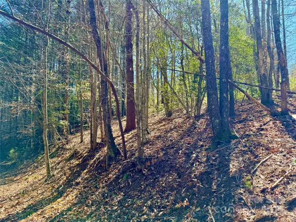 Lenoir, NC 28645,1.4 acres, 1184 Waterfall LN #Lot 235