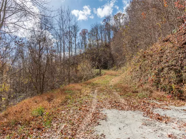 Lot 5 McNary DR, Clyde, NC 28721