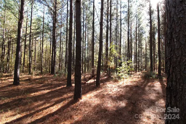 Clover, SC 29710,7+/- AC LOT 2 Templeton RD