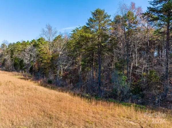 Sherrills Ford, NC 28673,00 McCorkle LN