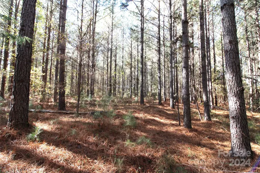 7+/- AC LOT 3 Hartness RD, Clover, SC 29710