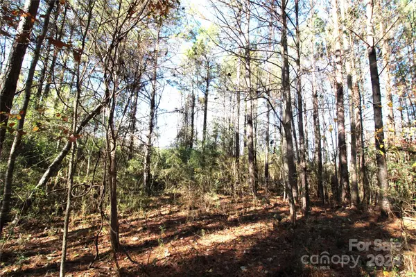 Clover, SC 29710,7+/- AC LOT 4 Hartness RD