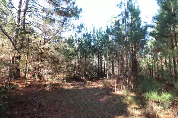 Clover, SC 29710,7+/- AC LOT 4 Hartness RD