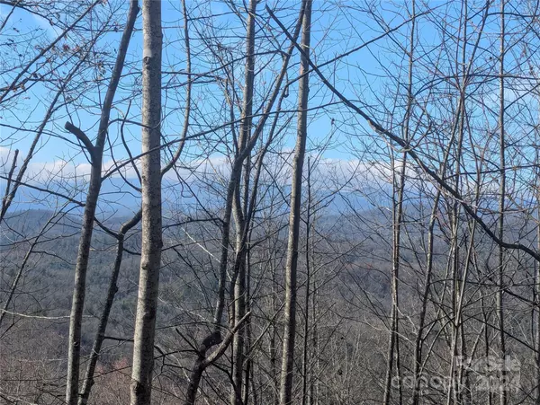 Pisgah Forest, NC 28768,TBD Top Oaks LN