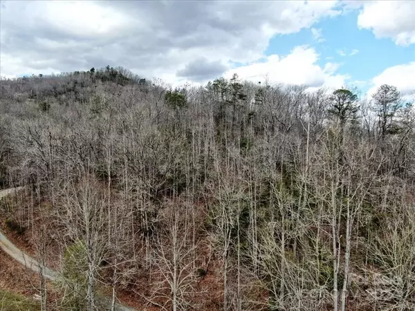 Sylva, NC 28779,TBD Big Oak Springs RD