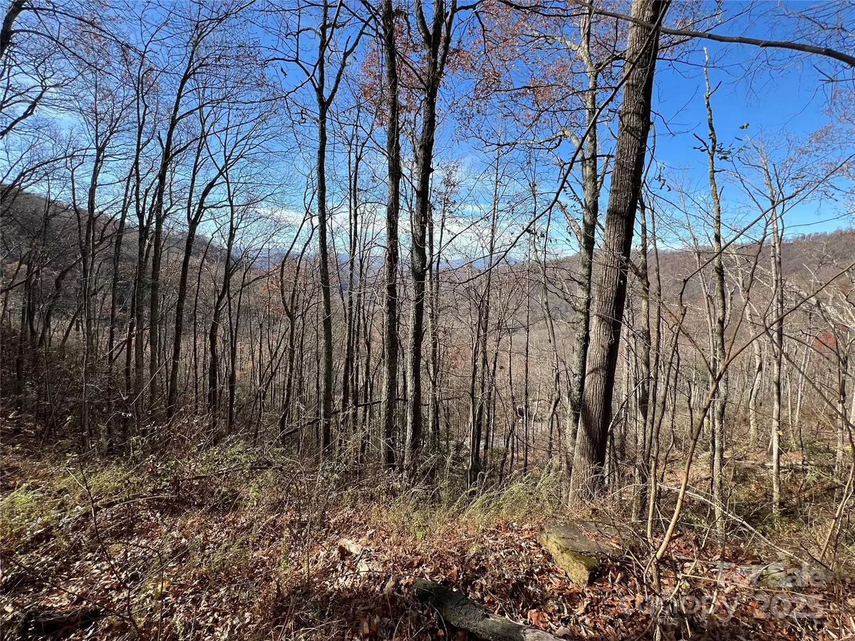 Bryson City, NC 28713,Lot 8 Falls View DR