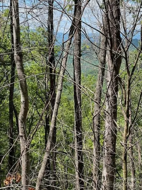 Bryson City, NC 28713,Lot 8 Falls View DR