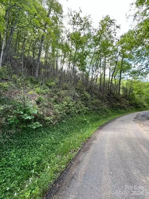 Bryson City, NC 28713,Lot 8 Falls View DR
