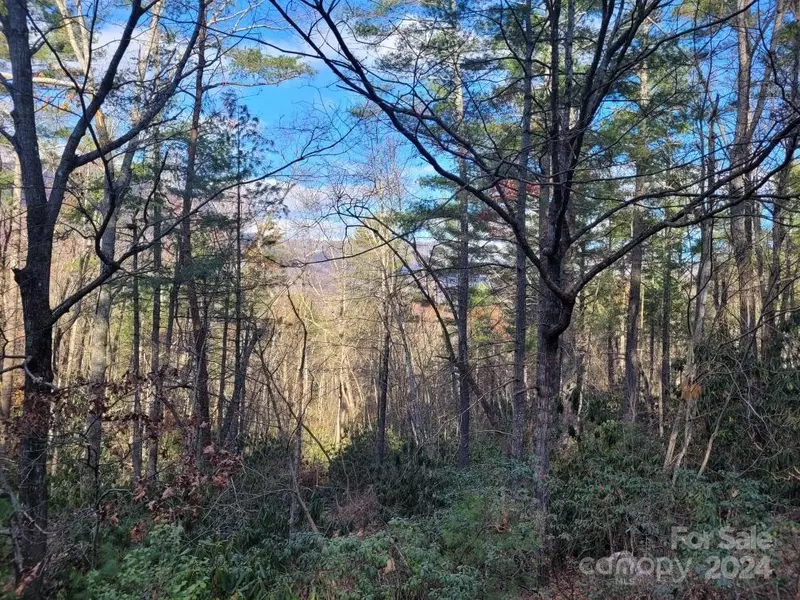 00 Deer Ridge TRL, Marion, NC 28752