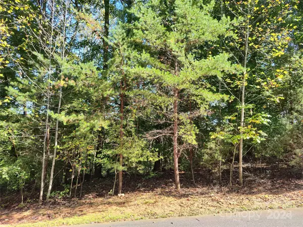 Sherrills Ford, NC 28673,3118 Mountain Creek DR