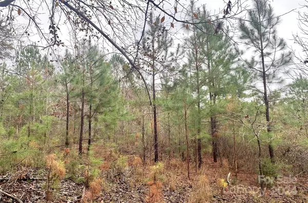 Chester, SC 29706,118+/- AC Firetower RD