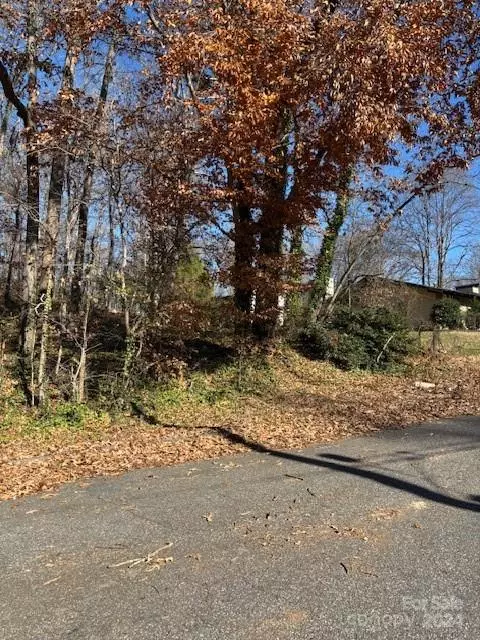 Statesville, NC 28677,Lot 32 & 33 Starmount DR