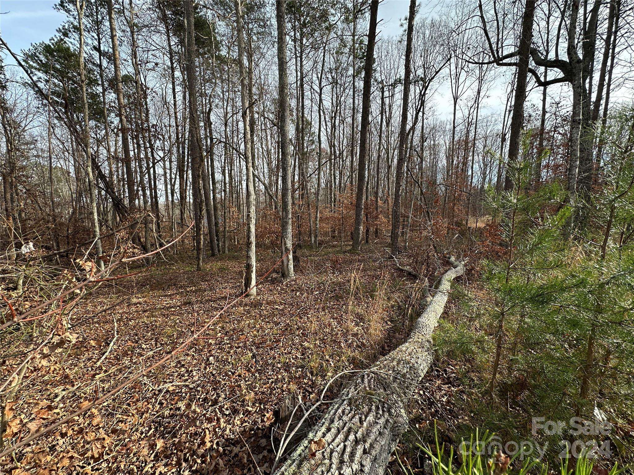 Iron Station, NC 28080,4 Christopher RD #4