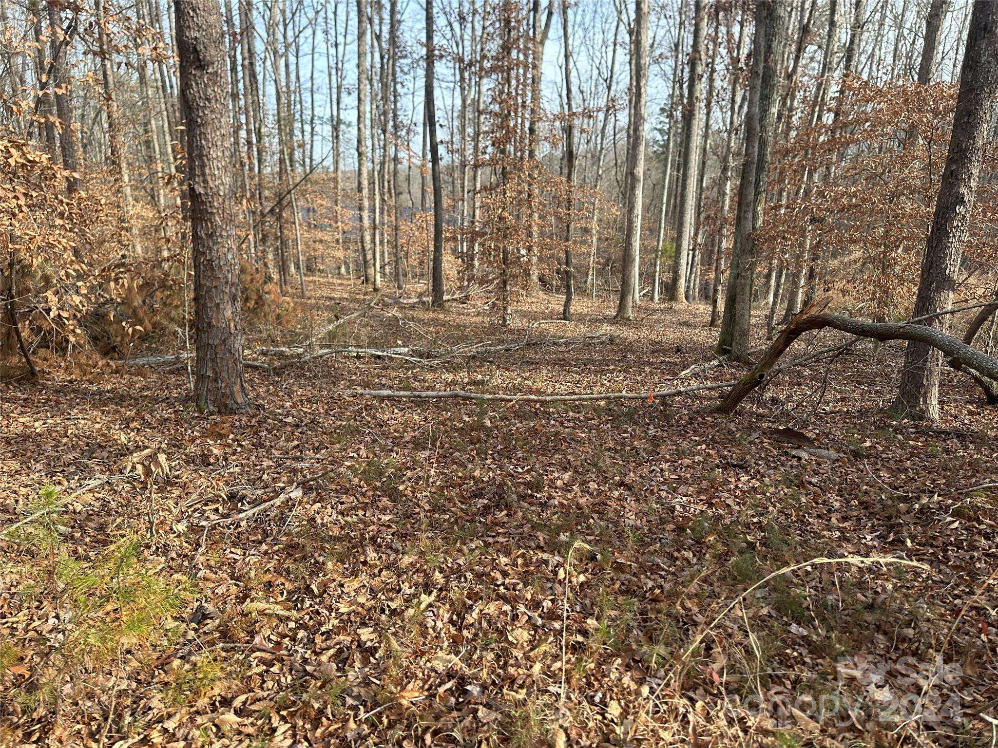 Iron Station, NC 28080,4 Christopher RD #4