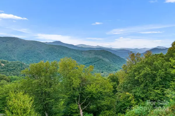 Mars Hill, NC 28754,48 Overlook DR #48