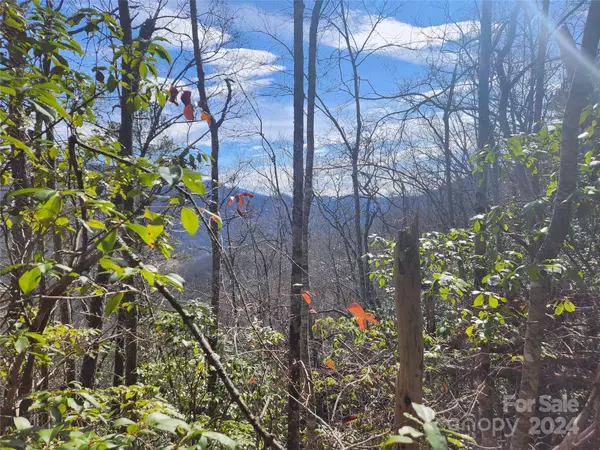 Sylva, NC 28779,0001 Long Winding RD