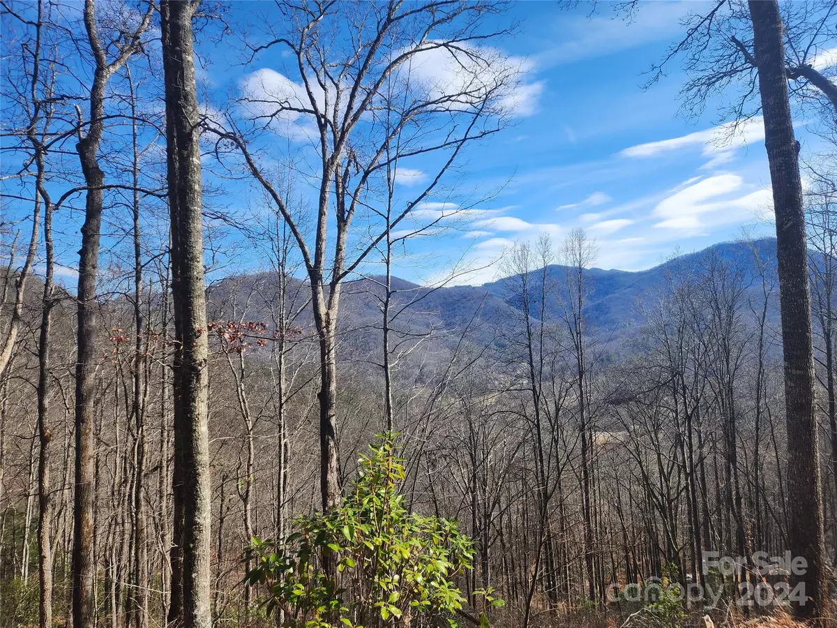 Sylva, NC 28779,0001 Long Winding RD