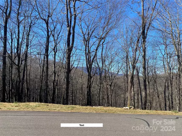 Burnsville, NC 28714,LOT 3 Dragonfly CT