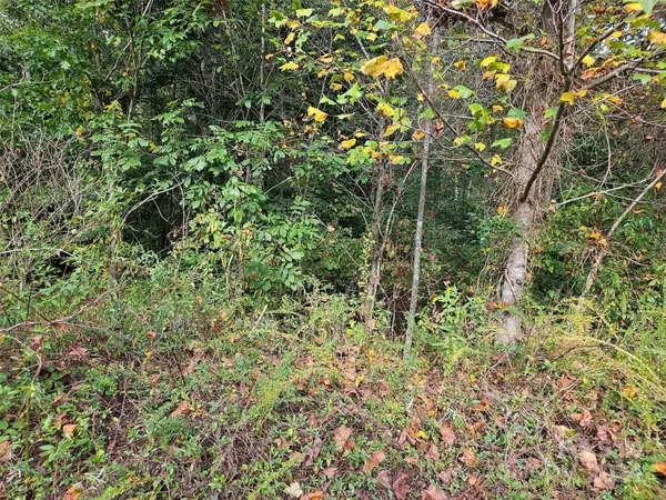 Rutherfordton, NC 28139,0 Hickory LOOP #Lot 36