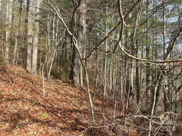Sylva, NC 28779,0 Gospel DR