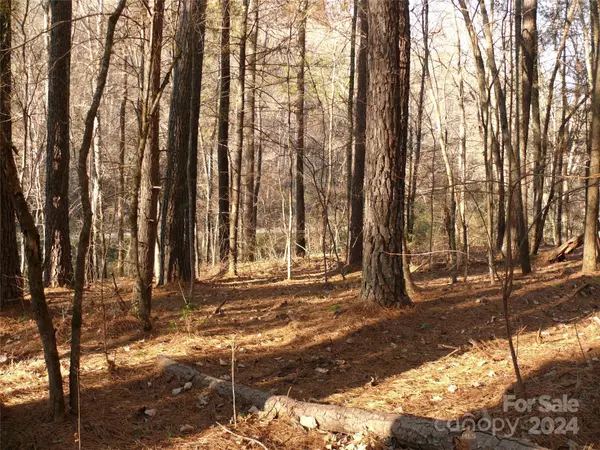 Lake Lure, NC 28746,Lot 1 Island Creek RD