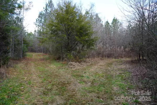 Troutman, NC 28166,10.4ac Oswalt Amity RD #1