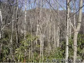 Waynesville, NC 28785,6 Pt Paradise LN