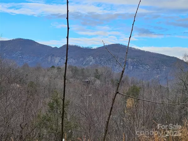 Lake Lure, NC 28746,00 Angel of the Lake None