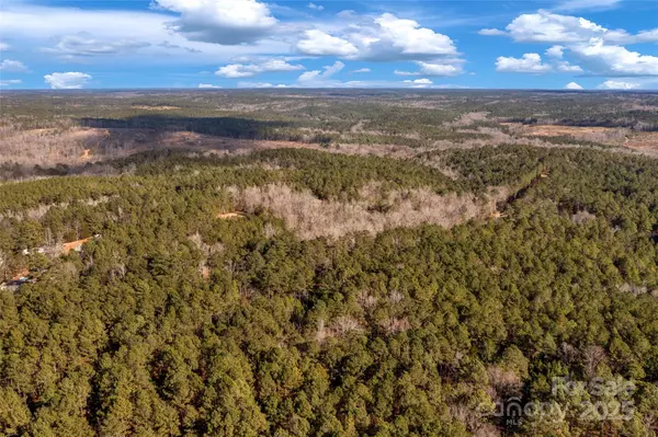 Blackstock, SC 29014,0000 Old Douglass RD #3