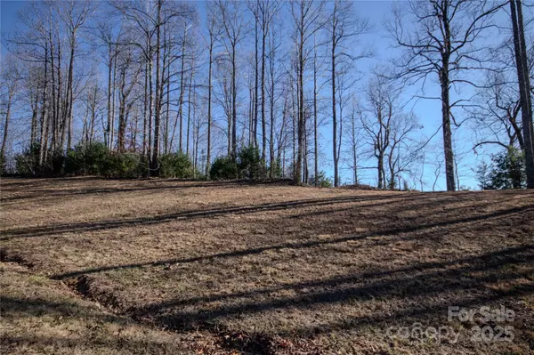Lenoir, NC 28645,2221 Nighthawk Ridge CT #19